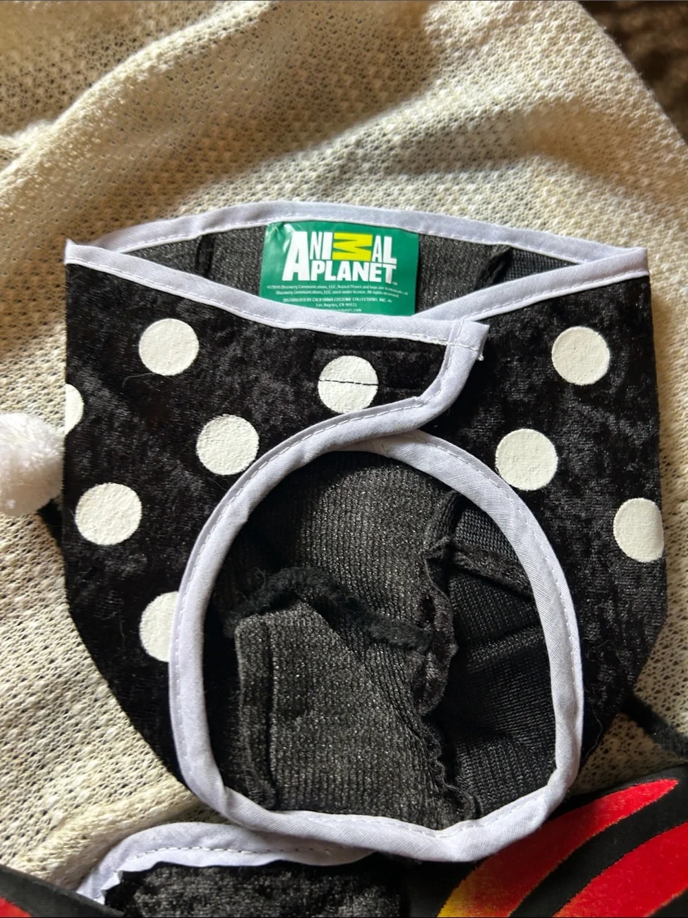 Animal Planet Black Polka Dot & Red Butterfly Dog Costume